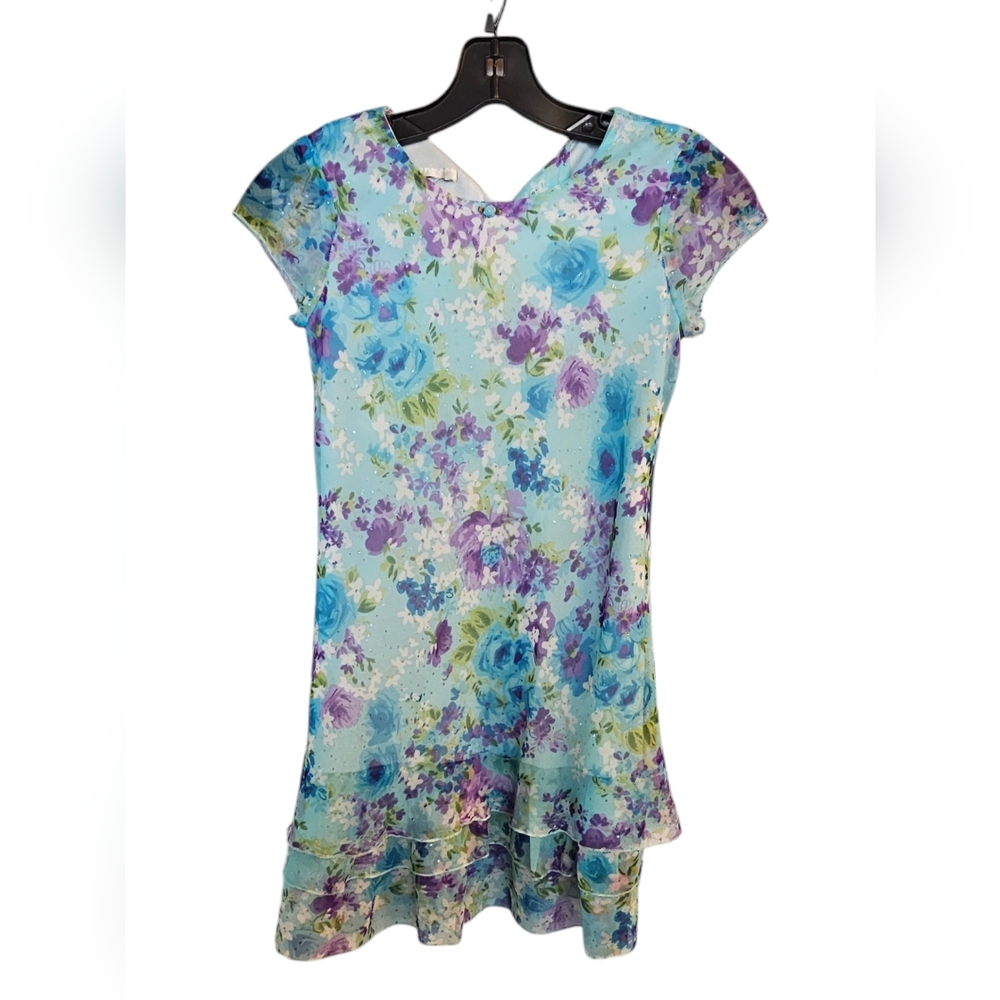 Girls Floral Chiffon Flounce Dress